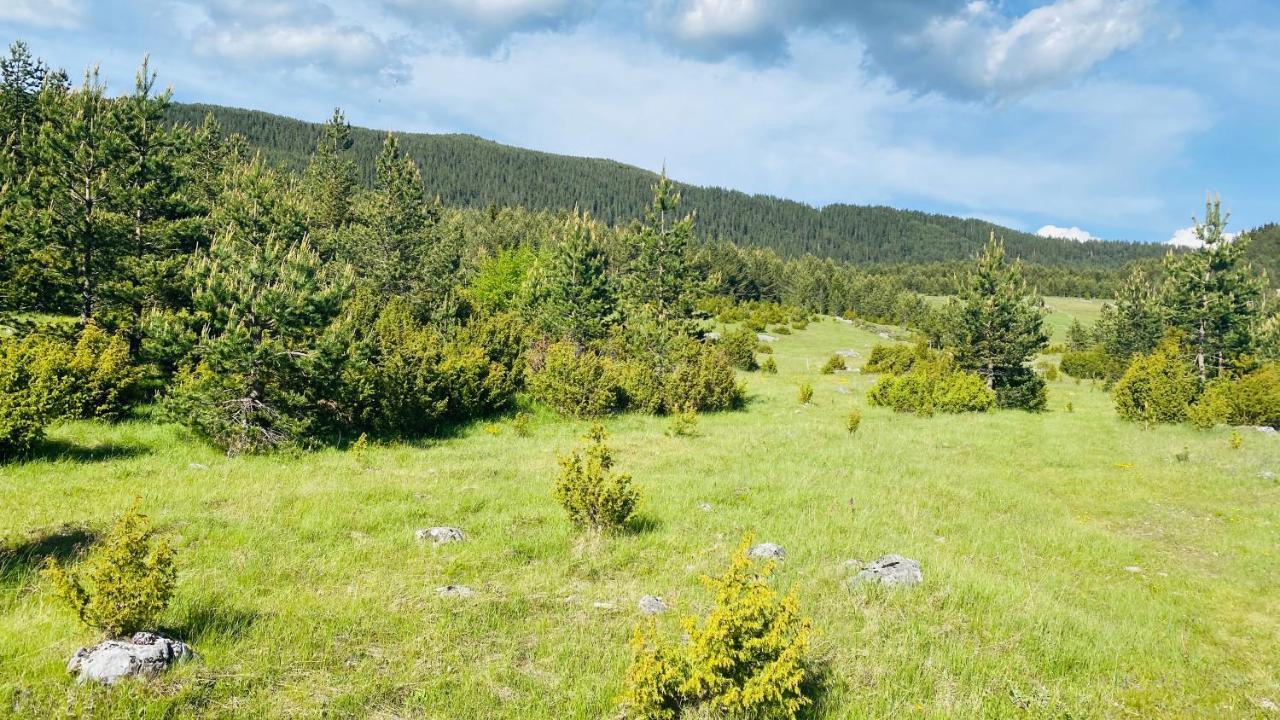 Eco Village Pavlovic Zabljak  Exterior photo