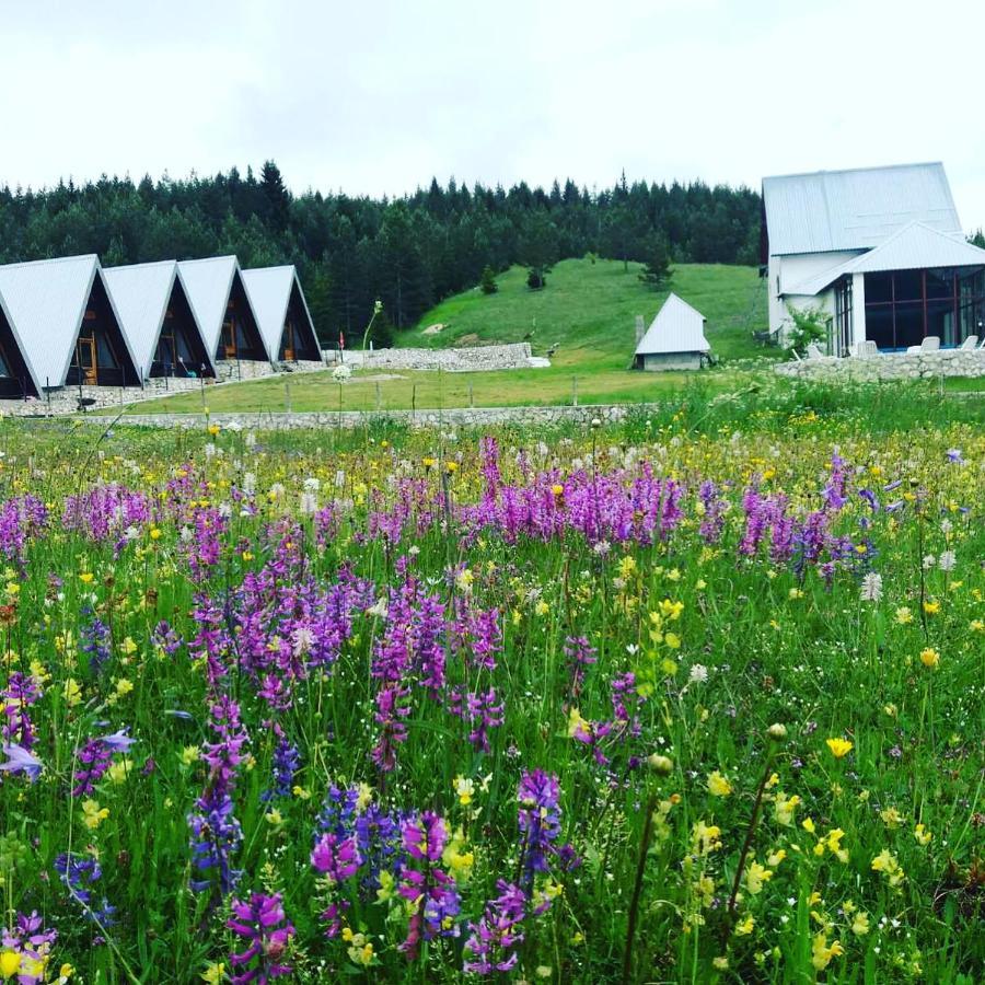 Eco Village Pavlovic Zabljak  Exterior photo