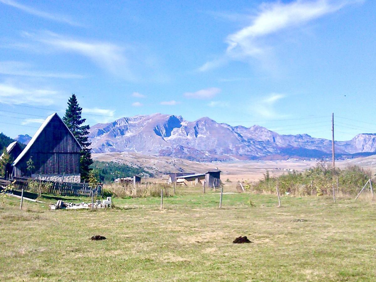 Eco Village Pavlovic Zabljak  Exterior photo